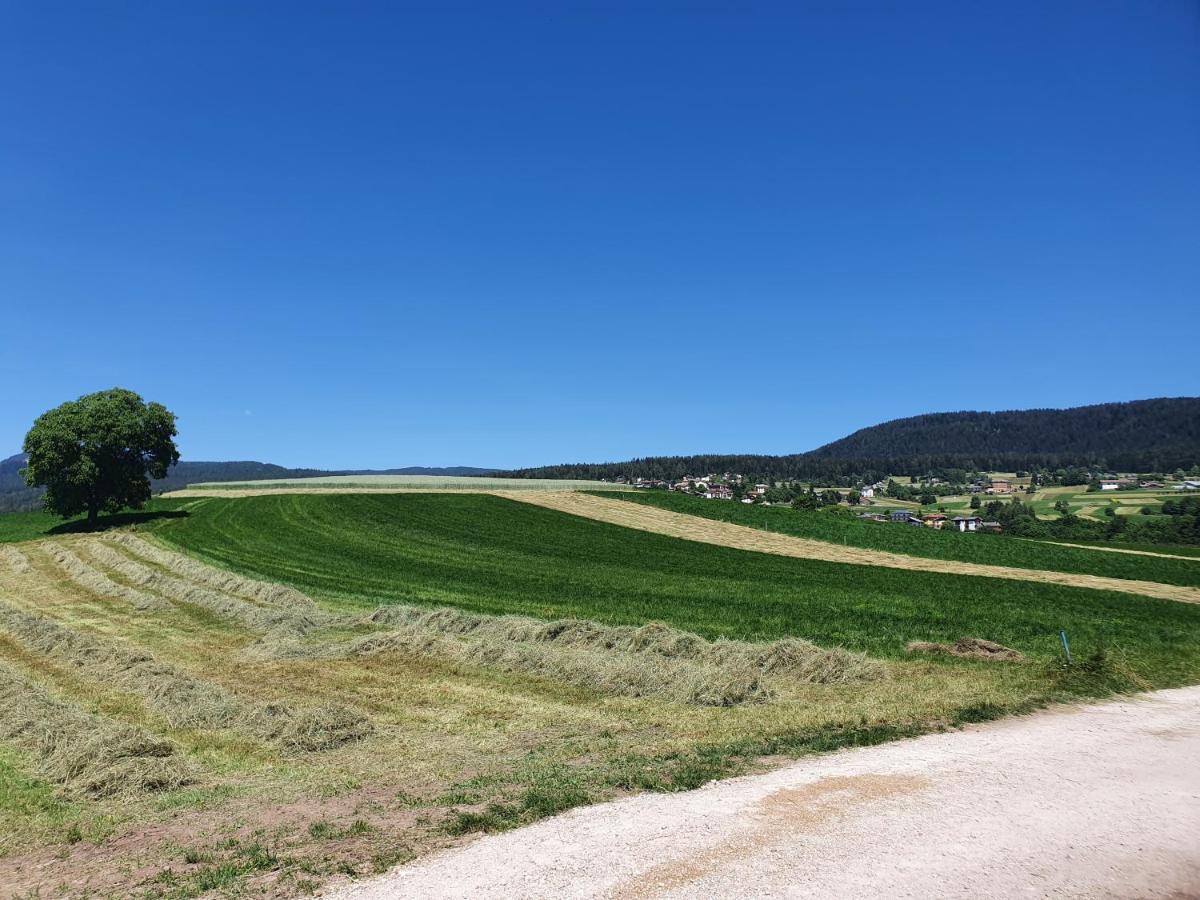 Agritur Belsogno B&B Brez Екстериор снимка